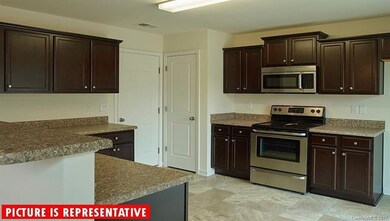 143 Harvest Pointe Dr unit 20, Statesville, NC 28677 - photo 5