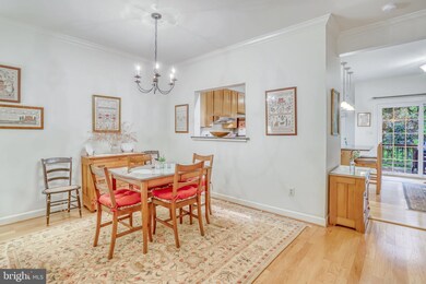 3648 Ransom Place, Alexandria, VA 22306 - photo 6