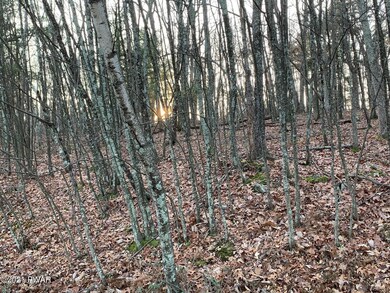 0 Barberry Lane & Apple Dr unit 21-4793, Milford, PA 18337 - photo 2