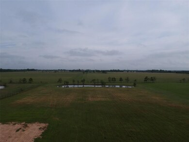 33250 Black Falcon Ct, Waller, TX 77484 - photo 4