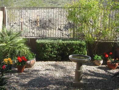 deneekholmpicofbackyardandflowers