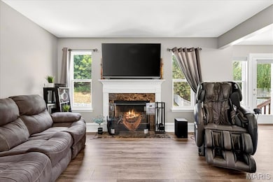Living room featuring wood finished floors and a fireplace