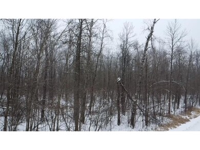 xxx N Reppert Rd, Weirgor, WI 54835 - photo 4