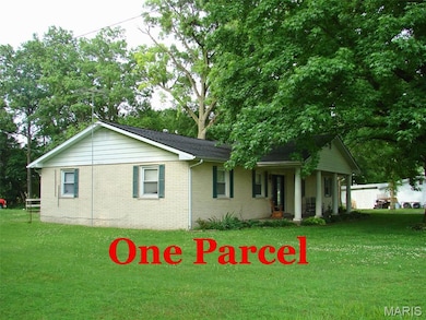 715 W Broadway St, Sparta, IL 62286 - photo 2