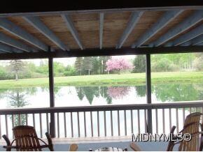 View From the Deck