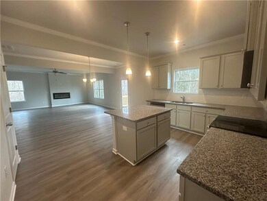 Kitchen featuring a glass covered fireplace, a kitchen island, open floor plan, dark wood-type flooring, and a sink