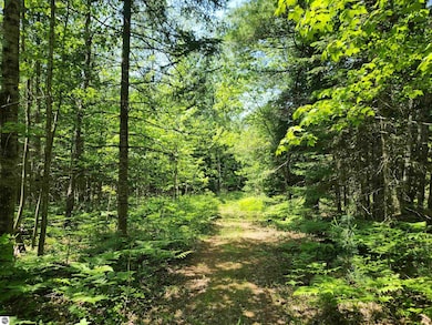 2867 Folks Rd NE, Kalkaska Township, MI 49646 - photo 6