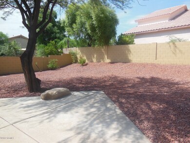 BACKYARD 3