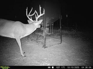 0000 Cr 3840, Coalgate, OK 74538 - photo 3