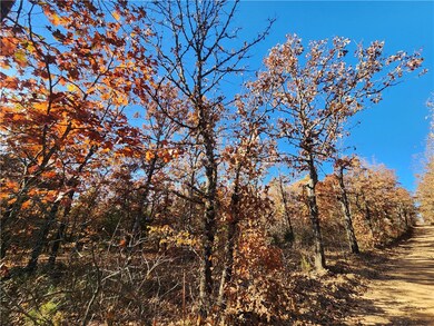 0 County Road 18, Compton, AR 72601 - photo 4