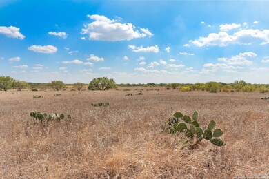2849 Farm To Market Road 1333, Poteet, TX 78065 - photo 4