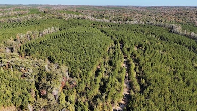 00 Highway 82, Eufaula, AL 36027 - photo 4