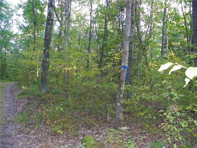 0 Hickory Hill Rd unit R1641484, Bath, NY 14810 - photo 5