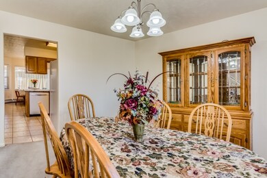 723 1/2 24 3/4 Rd, Grand Junction, CO 81505 - photo 7