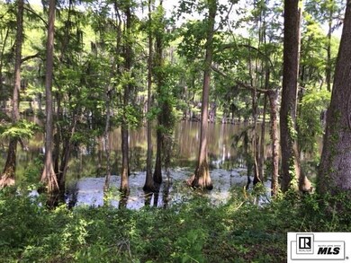 9338 Desiard Trace, Sterlington, LA 71280 - photo 7