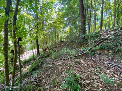 00 Cove Pointe Rd, Lafollette, TN 37766 - photo 4