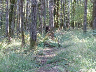 24293 Columbine Dr, Philomath, OR 97370 - photo 2