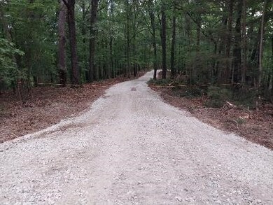 TBD Saint Simons Ln, Eureka Springs, AR 72632 - photo 7