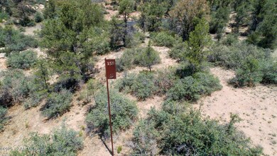 9235 Distant View Circle-10