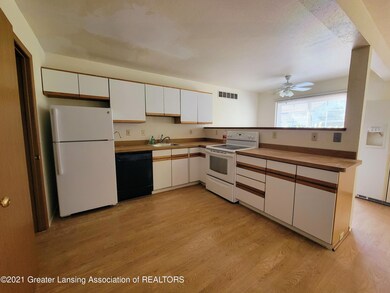 3928 Hunters Ridge Dr unit 4, Lansing, MI 48911 - photo 4