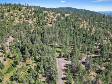 NKA Weaver Way unit Lot 3 of Lot 1, Deer Park, WA 99006 - photo 5