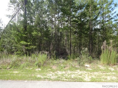 3 Viola Ct, Homosassa, FL 34446 - photo 2