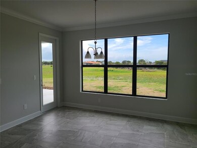 3406 Lake Cortona Way, Wimauma, FL 33598 - photo 6