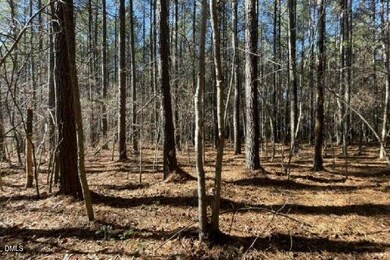 586 Anneliis Ln, Siler City, NC 27344 - photo 6