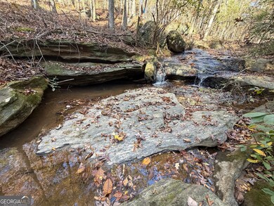 0 Thurman Baccus Rd unit 10647779, Social Circle, GA 30025 - photo 5