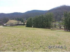 396 Browntown Rd, Leicester, NC 28748 - photo 2