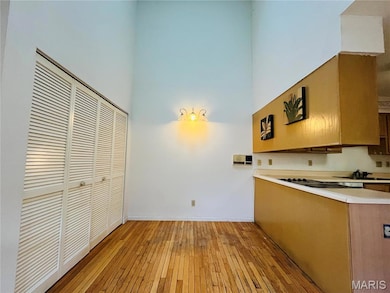 5428 Duchesne Parque Dr unit 5, Saint Louis, MO 63128 - photo 6