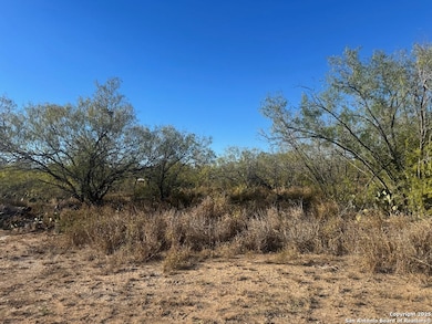 LOTS 2453-2455 Avenue J, Christine, TX 78012 - photo 2