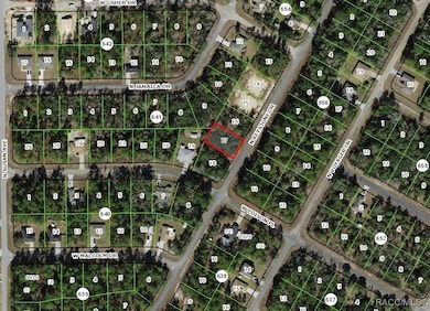 7768 N Keystone Dr, Citrus Springs, FL 34433 - photo 3