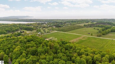 2510 E Cherry Ln, Cedar, MI 49621 - photo 5