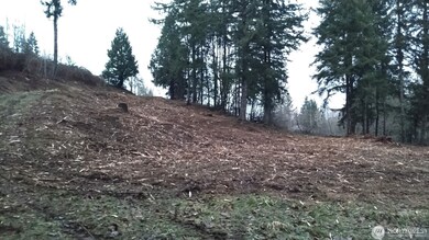 6123 139th Ln SW, Rochester, WA 98579 - photo 2