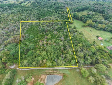 0 Pickles Ln, Spring Hill, TN 37174 - photo 2