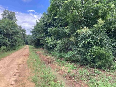 06 Davis Cir, Wing, AL 36483 - photo 3