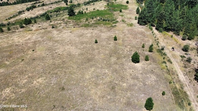 NKA E Coon Creek Rd, St. Maries, ID 83861 - photo 4