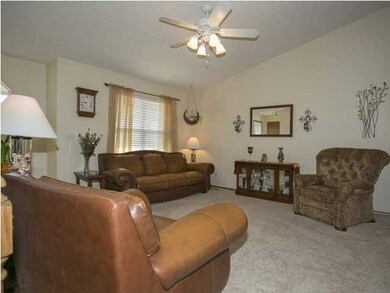 Ceiling Fans and large windows