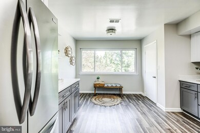 8005 Greenspring Way unit E, Owings Mills, MD 21117 - photo 4