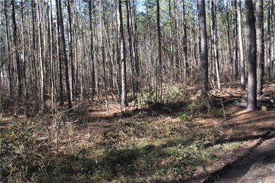 00 Hwy 161 Hwy, Clover, SC 29710 - photo 6