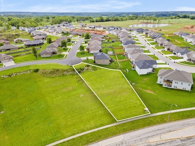 723 S Oak Terrace Dr, Nixa, MO 65714 - photo 2