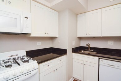 4878 N Magnolia Ave unit B-GE, Chicago, IL 60640 - photo 3