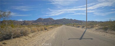 6919 Sierra Ave, Joshua Tree, CA 92252 - photo 7