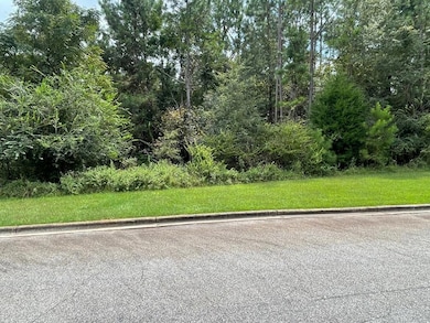 5100 Shiloh Ct, Albany, GA 31721 - photo 2