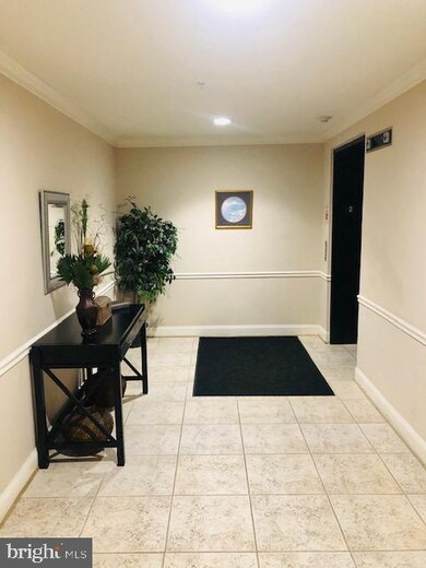 4700 Coyle Rd unit 206, Owings Mills, MD 21117 - photo 6