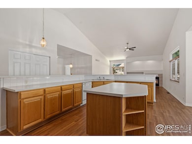 232 Cattail Bay, Windsor, CO 80550 - photo 6