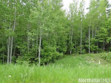 L6, B2 Cardarelle Ct, Hackensack, MN 56452 - photo 6