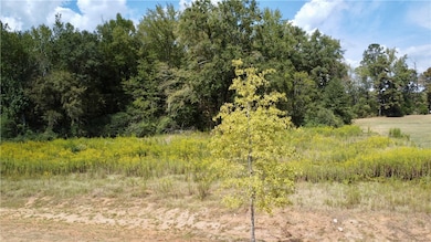 6805 Bramble Ln, Auburn, AL 36830 - photo 2