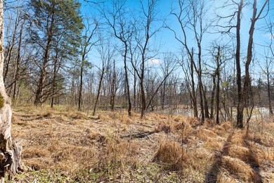 0 Chipman Rd, Bethpage, TN 37022 - photo 7